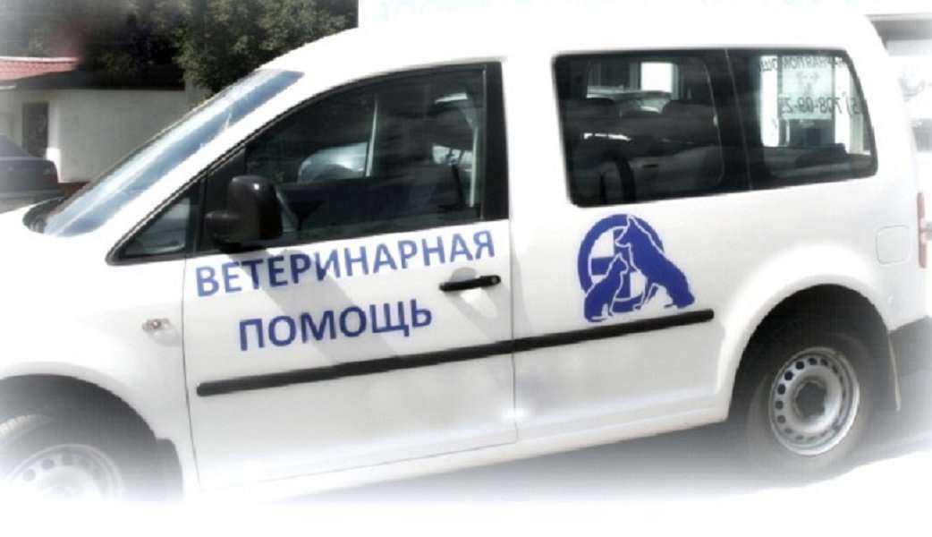 Отзывы на компанию ВЕТ НЕОТЛОЖКА в Нижнем Новгороде c фото