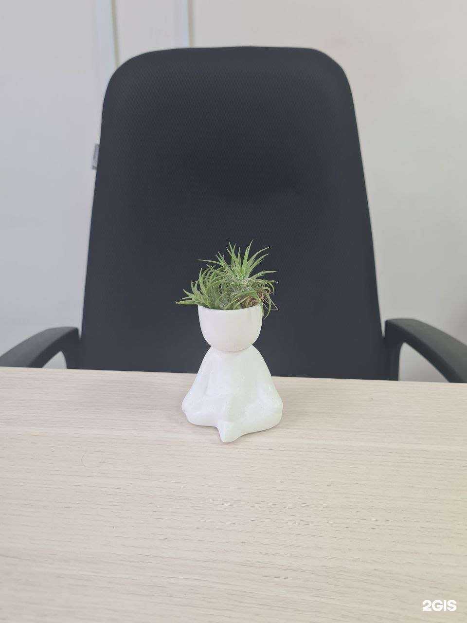 Отзывы на компанию DreamJob в Томске c фото