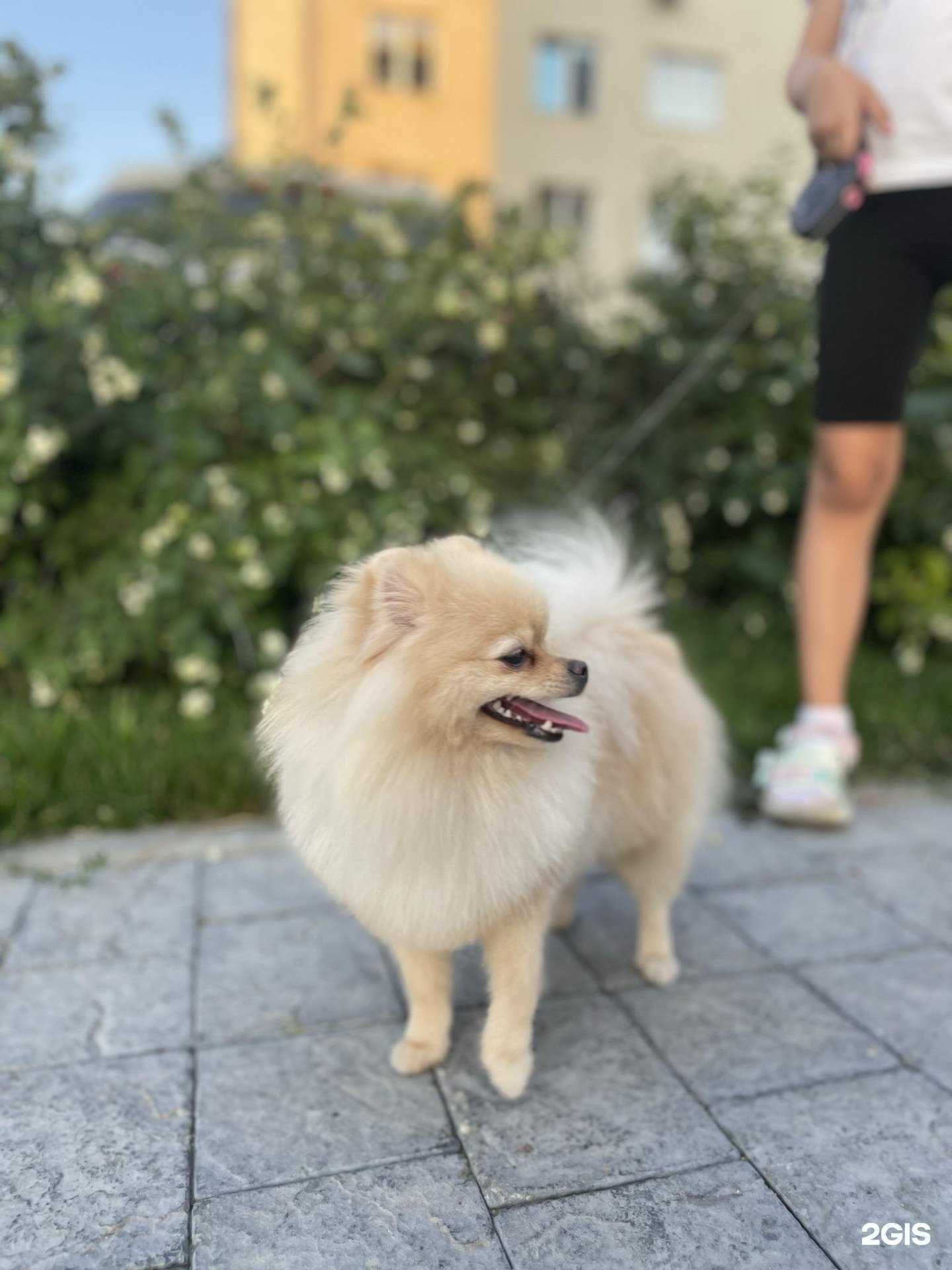 Отзывы на компанию Красный кролик в г. Новосибирск c фото