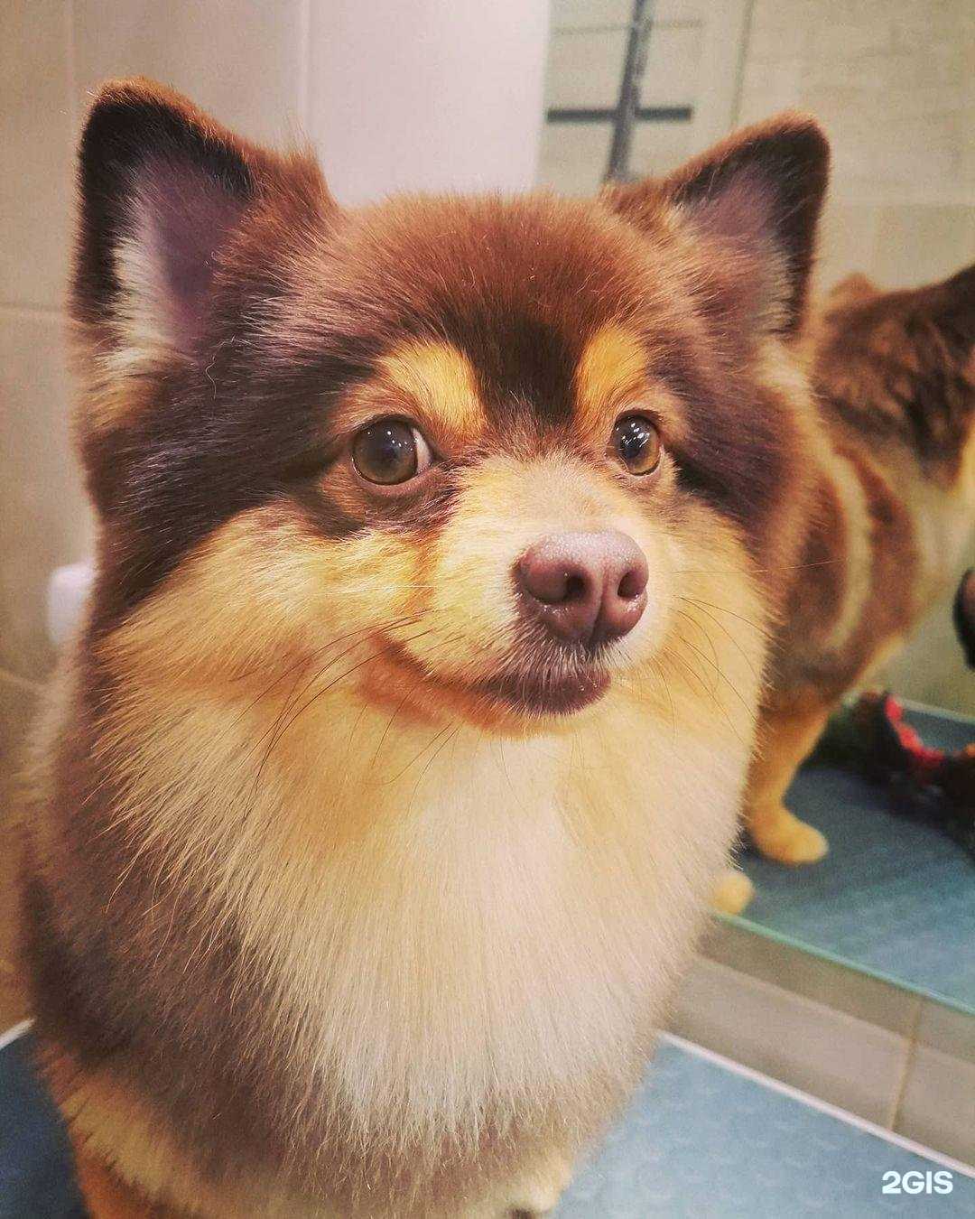 Отзывы на компанию Барбос в г. Ступино c фото