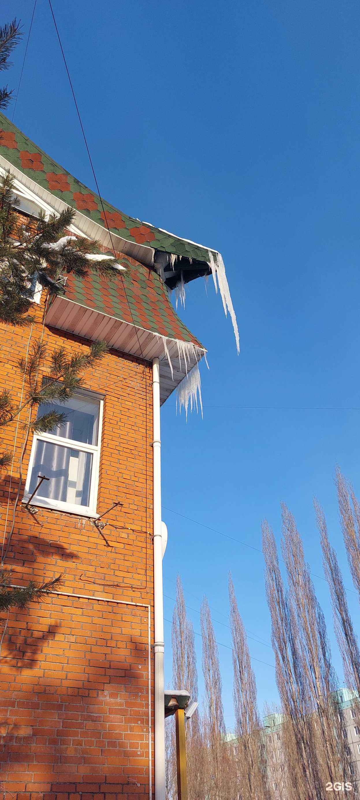 Отзывы на компанию Чистый котик в Уфе c фото - фотография 2 из 2