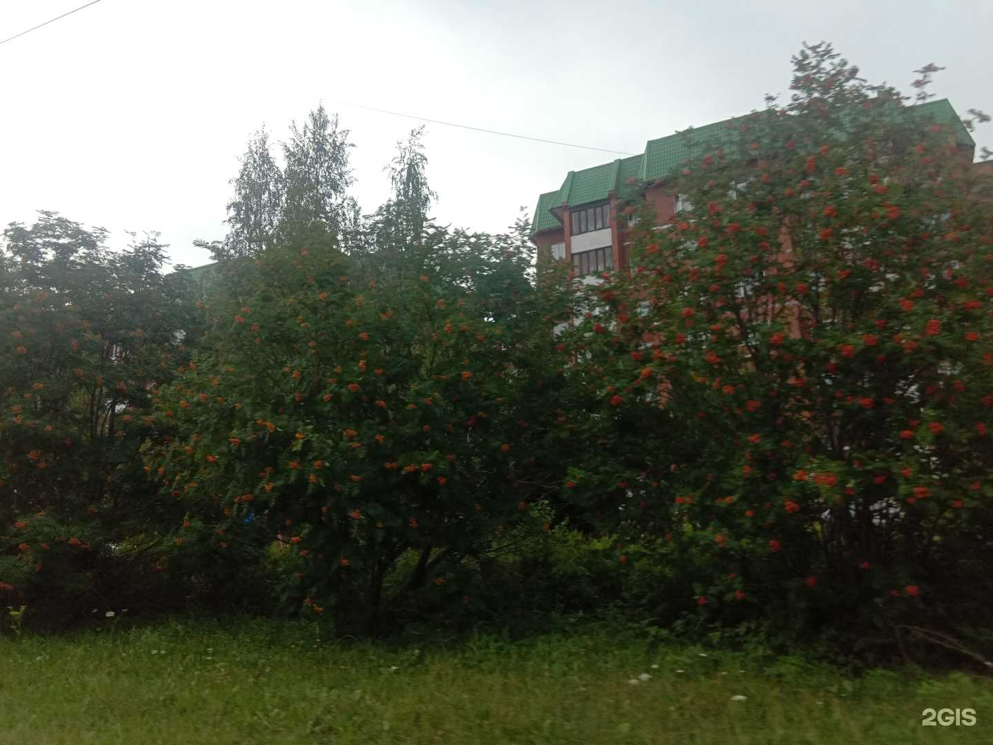 Отзывы на компанию ШарЛандия в Новоуральске c фото