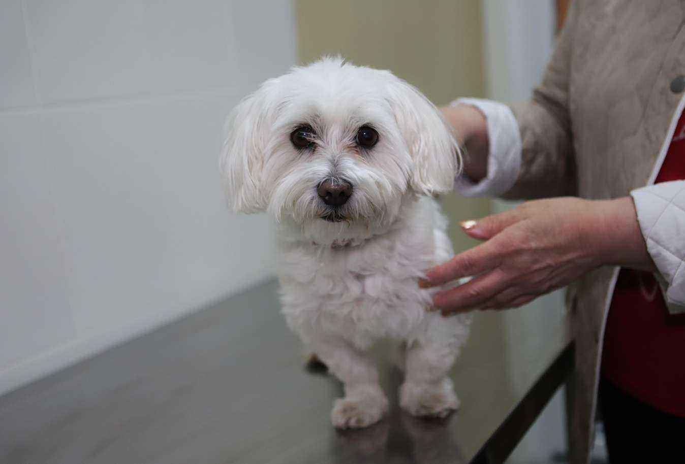 Отзывы на компанию Друг в Геленджике c фото