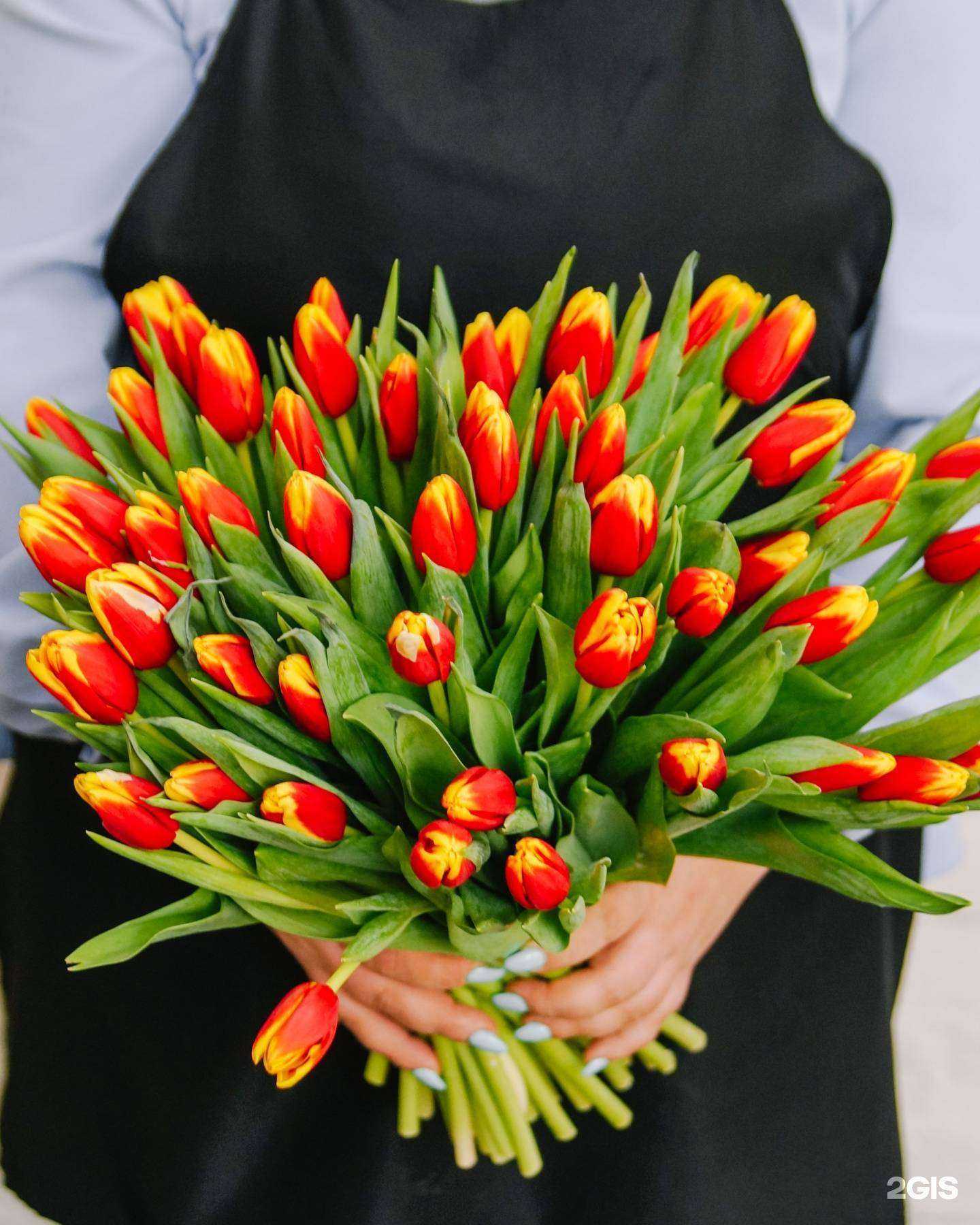 Отзывы на компанию Азалия в Комсомольске-на-Амуре c фото