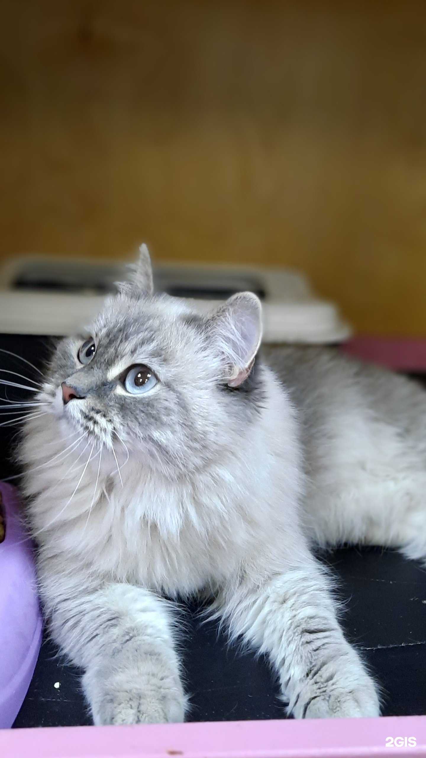 Отзывы на компанию Мир, животные и растения в Тюмени c фото