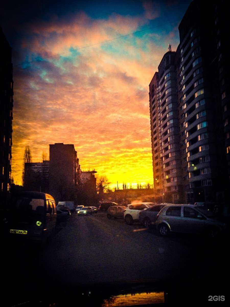 Отзывы на компанию Альфа Стом в Воронеже c фото - фотография 2 из 2