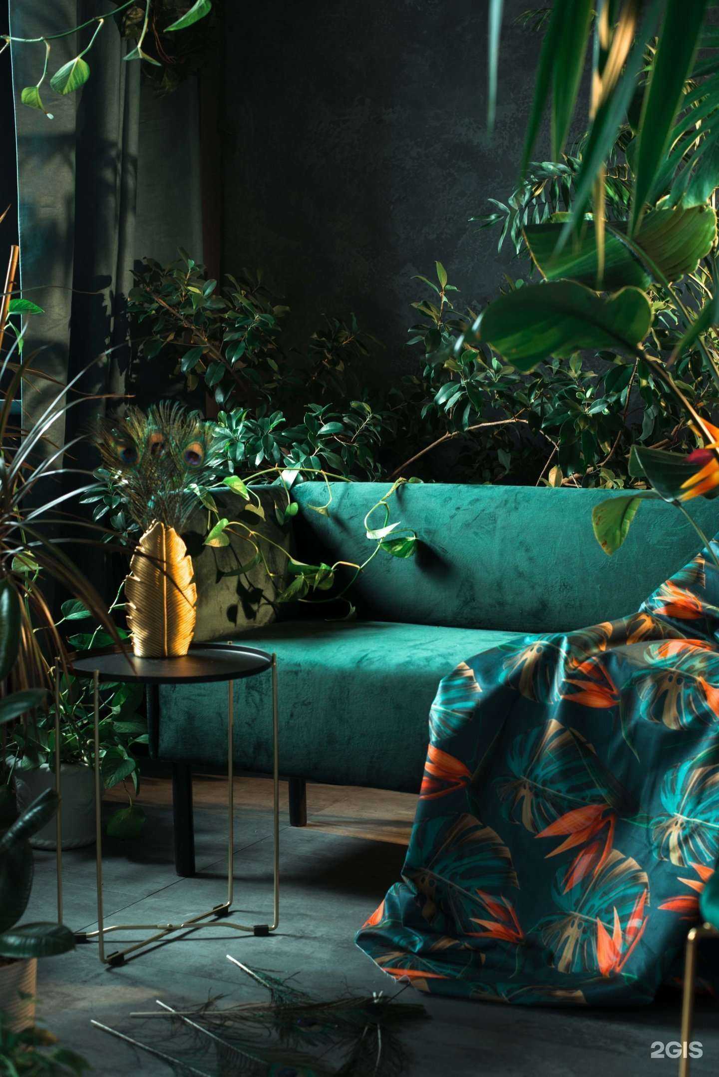 Отзывы на компанию Lunar Studio в г. Новосибирск c фото