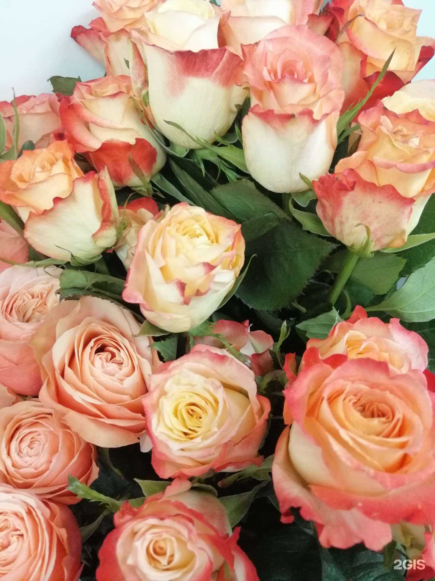 Отзывы на компанию Вкус и Цвет в Барнауле c фото