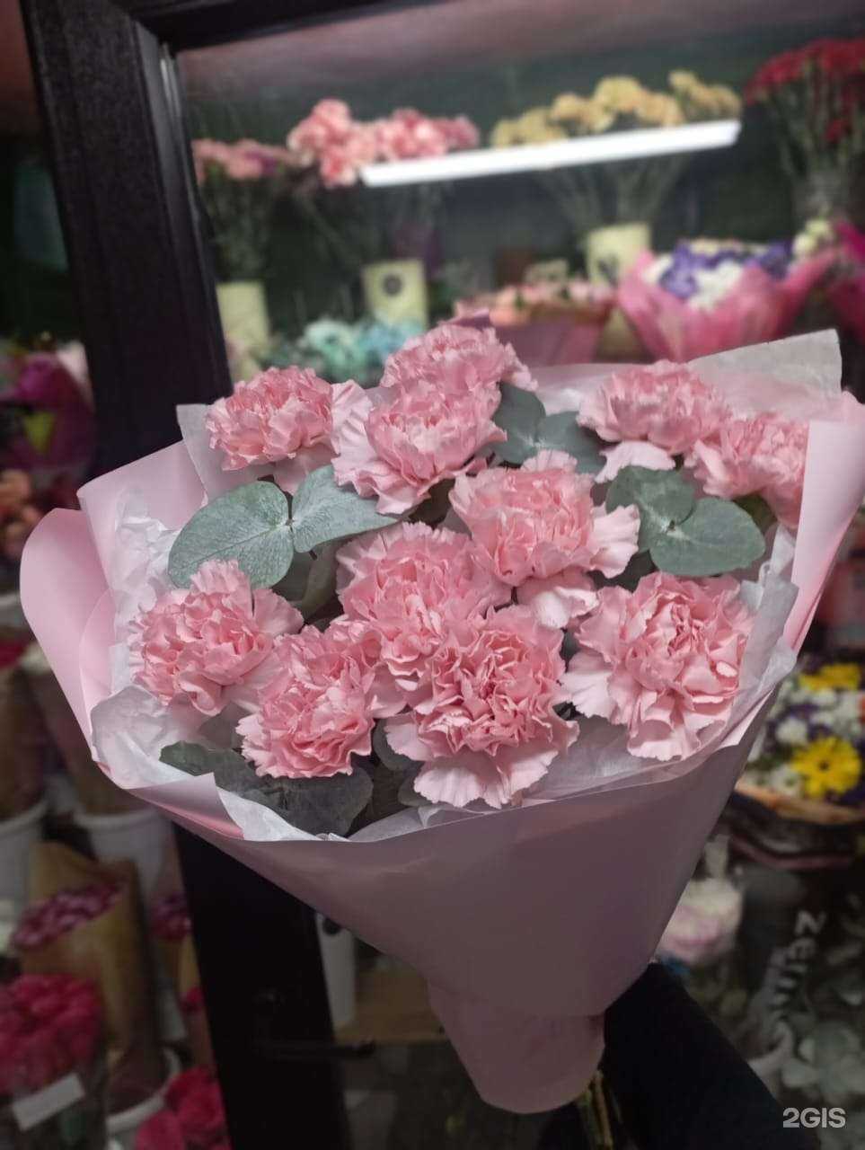 Отзывы на компанию Pavlin в г. Ясный c фото