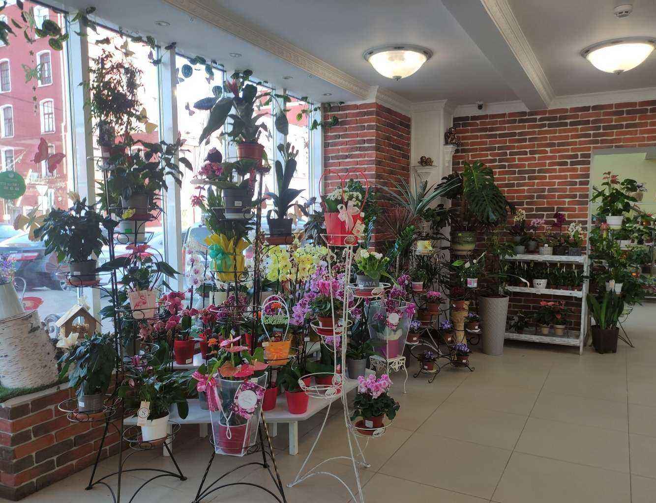 Отзывы на компанию Планета цветов в Орехово-Зуеве c фото