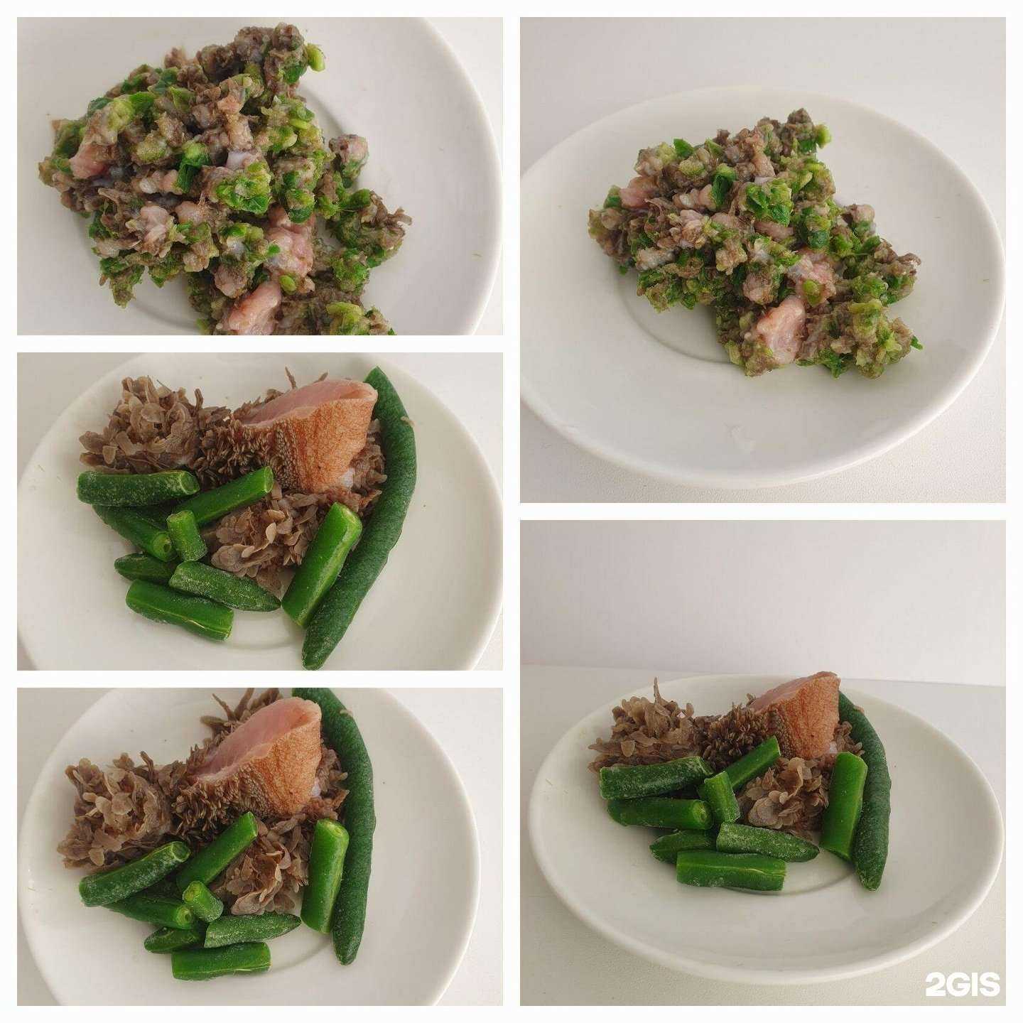 Отзывы на компанию DearDog72 в Тюмени c фото