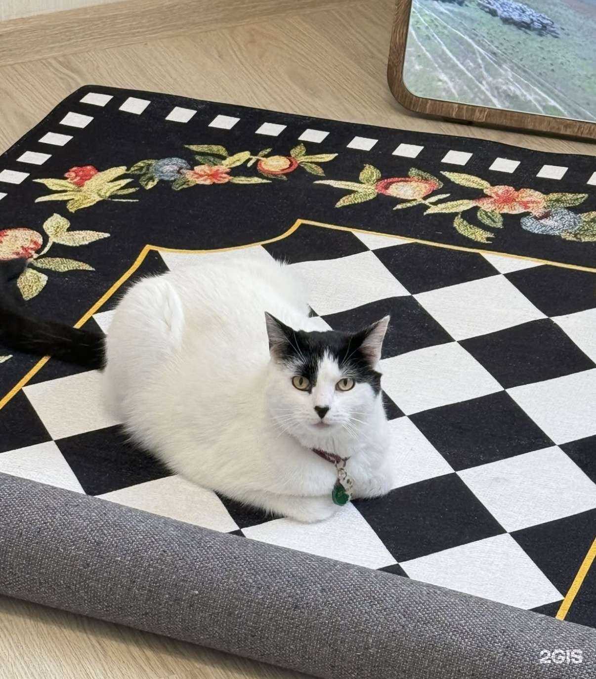 Отзывы на компанию Чеб-Клининг в г. Чебоксары c фото