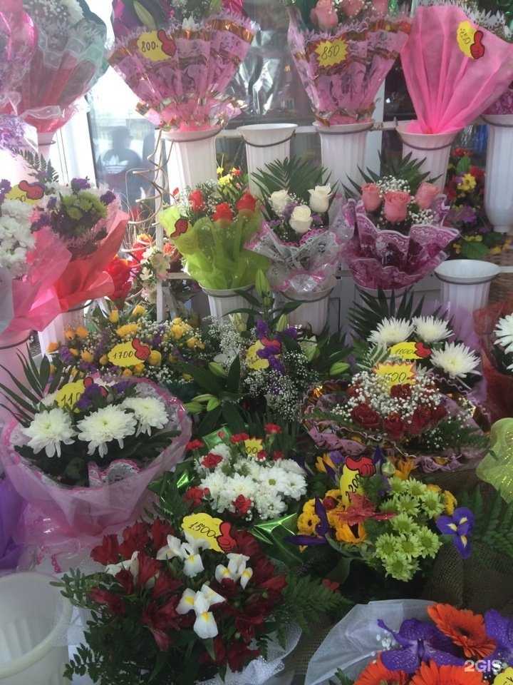 Отзывы на компанию Белый клевер в Владивостоке c фото