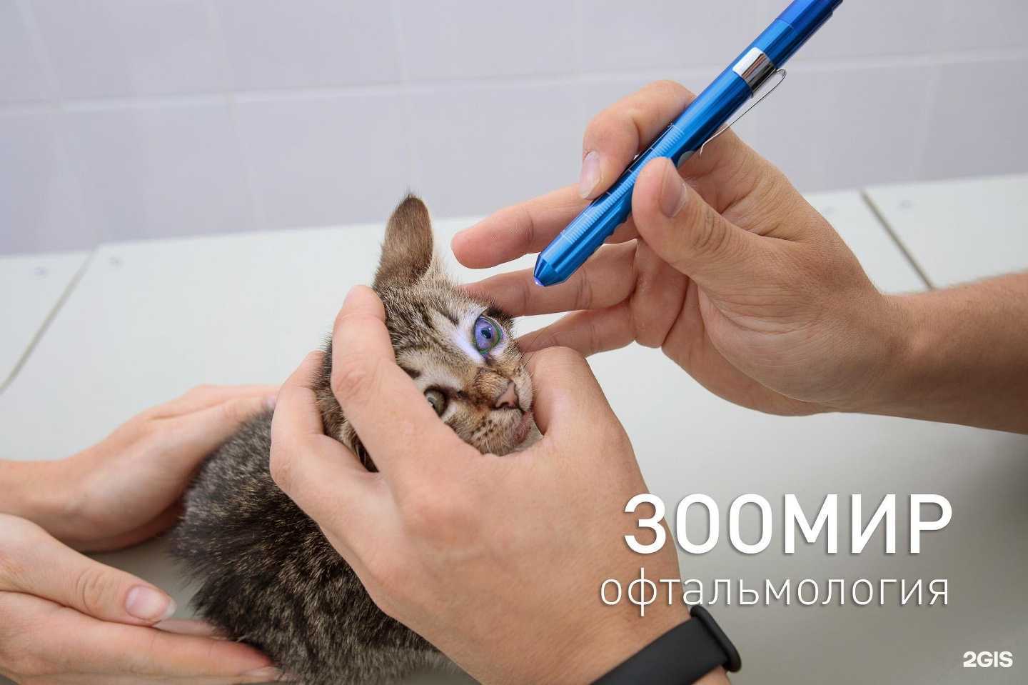 Отзывы на компанию Зоомир в г. Самара c фото