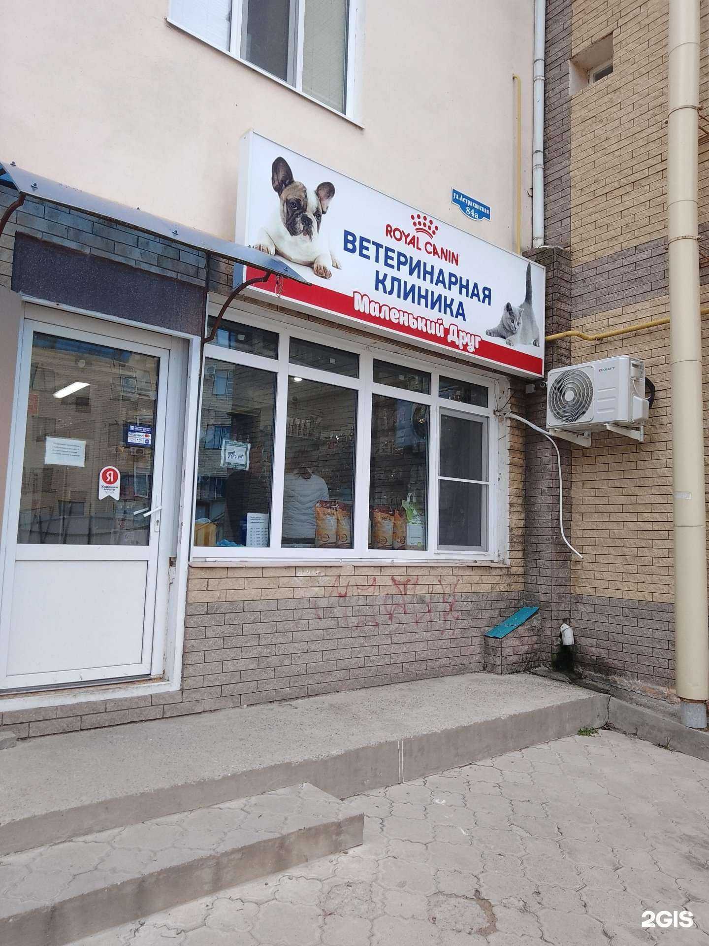 Отзывы на компанию Маленький друг в Анапе c фото