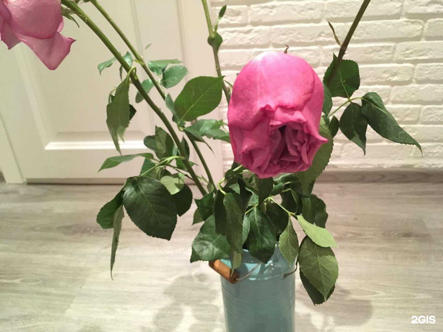 Отзывы на компанию Лаванда в Екатеринбурге c фото