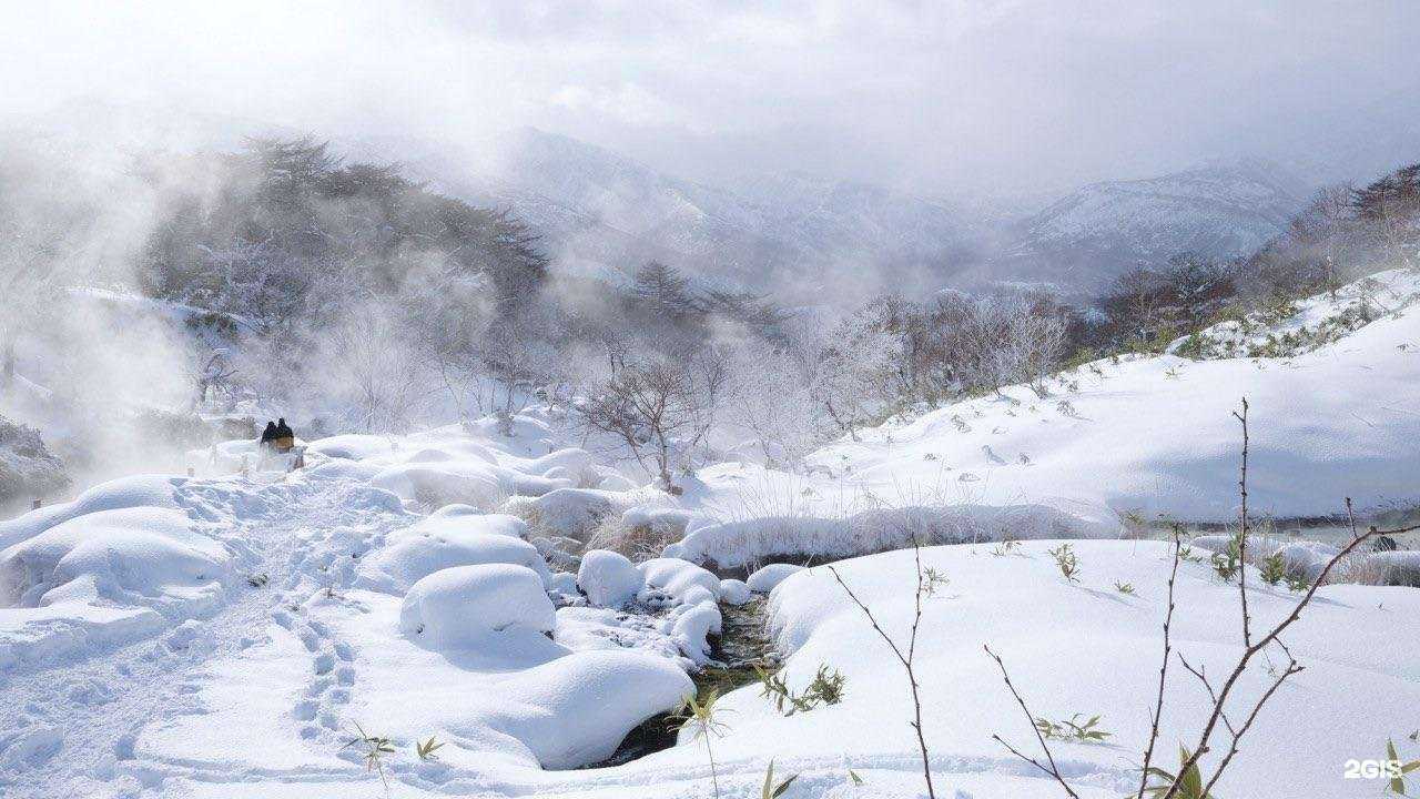 Отзывы на компанию Твой Сахалин в г. Южно-Сахалинск c фото