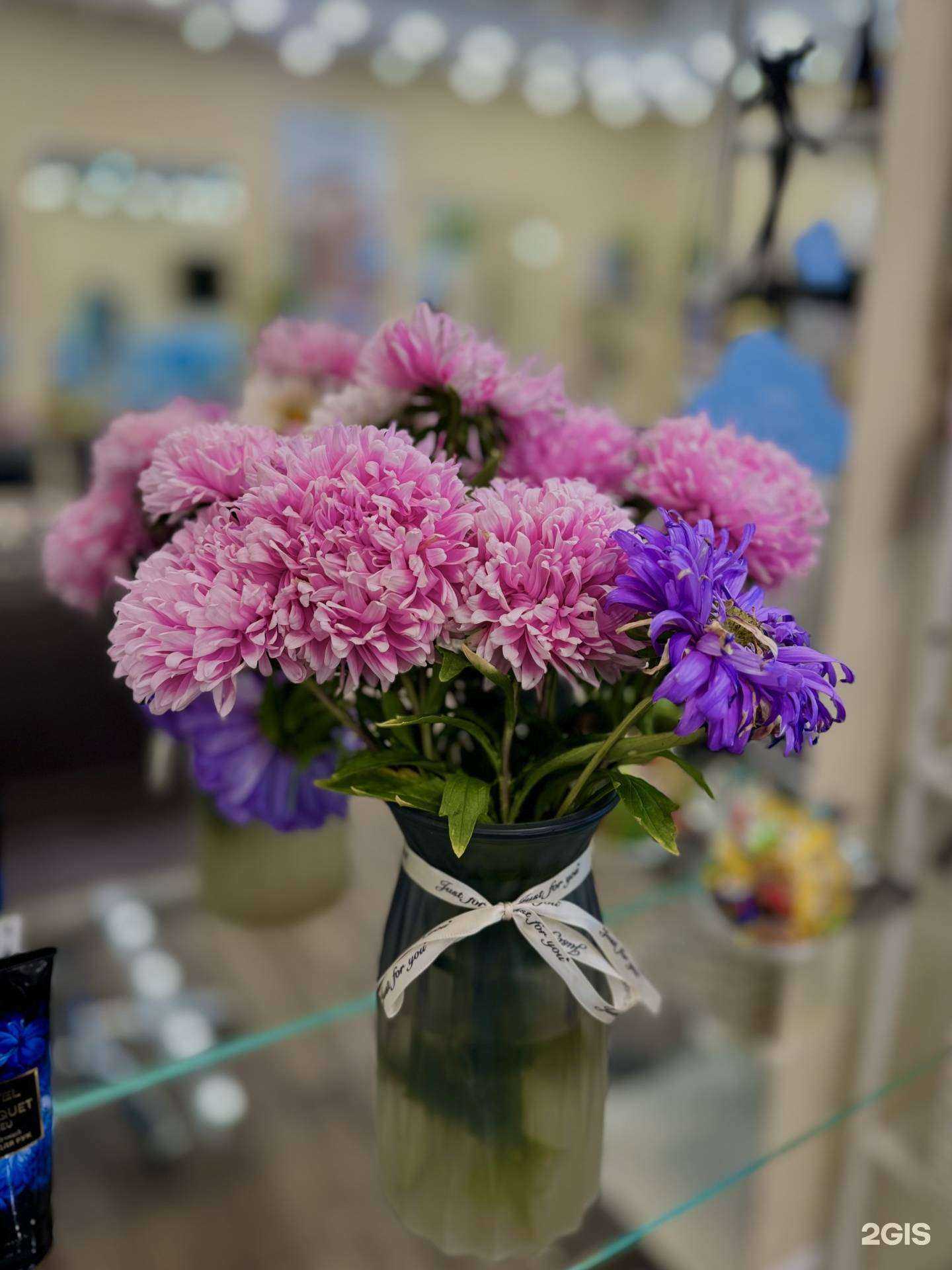 Отзывы на компанию Крылья в г. Архангельск c фото