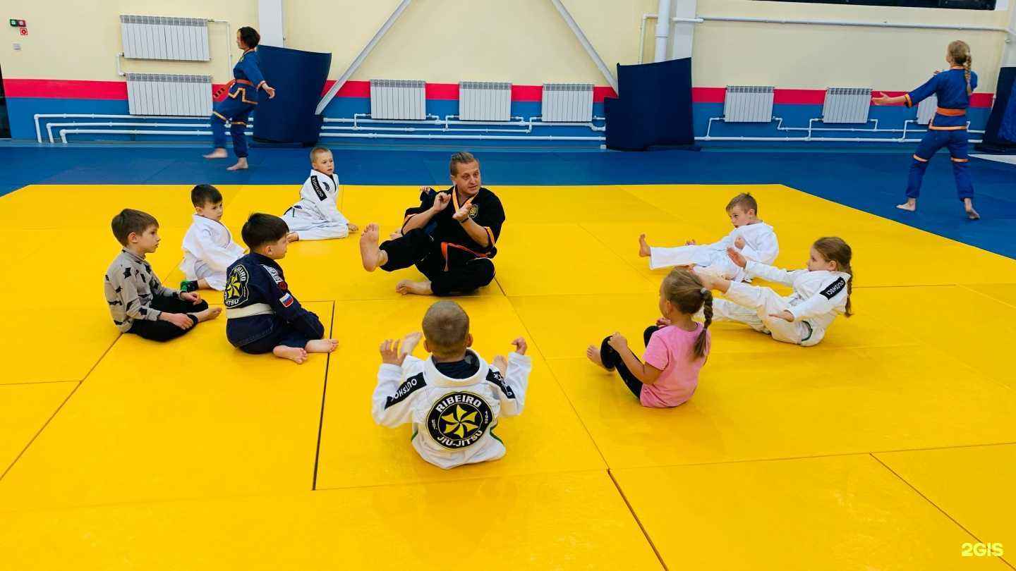 Отзывы на компанию Дворец единоборств им. Артема Осипенко в г. Брянск c фото