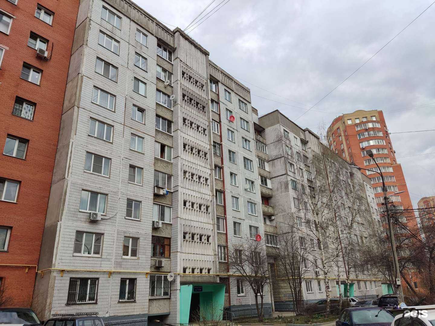 Отзывы на компанию Студия профессиональной стрижки кошек в г. Щёлково c фото