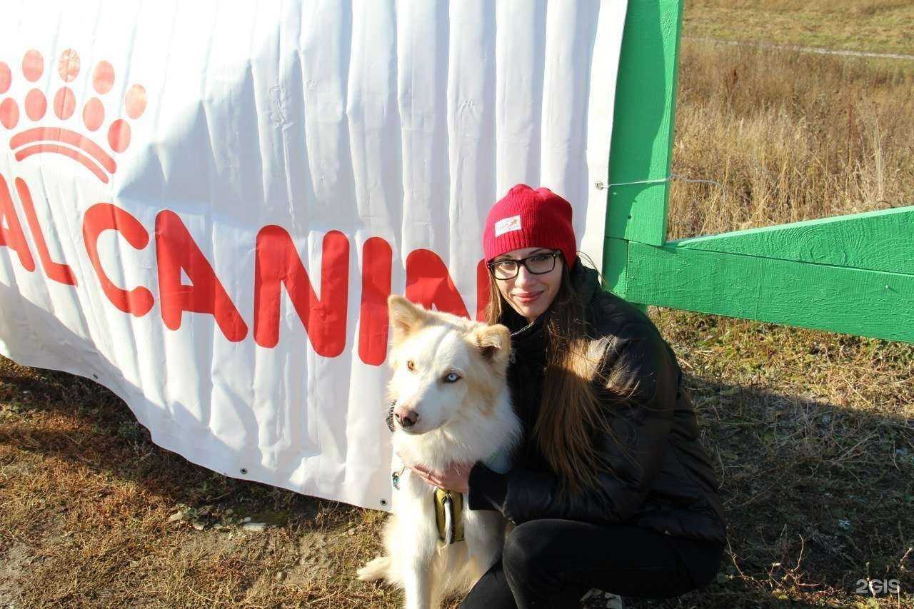 Отзывы на компанию Ас Вет в г. Новосибирск c фото