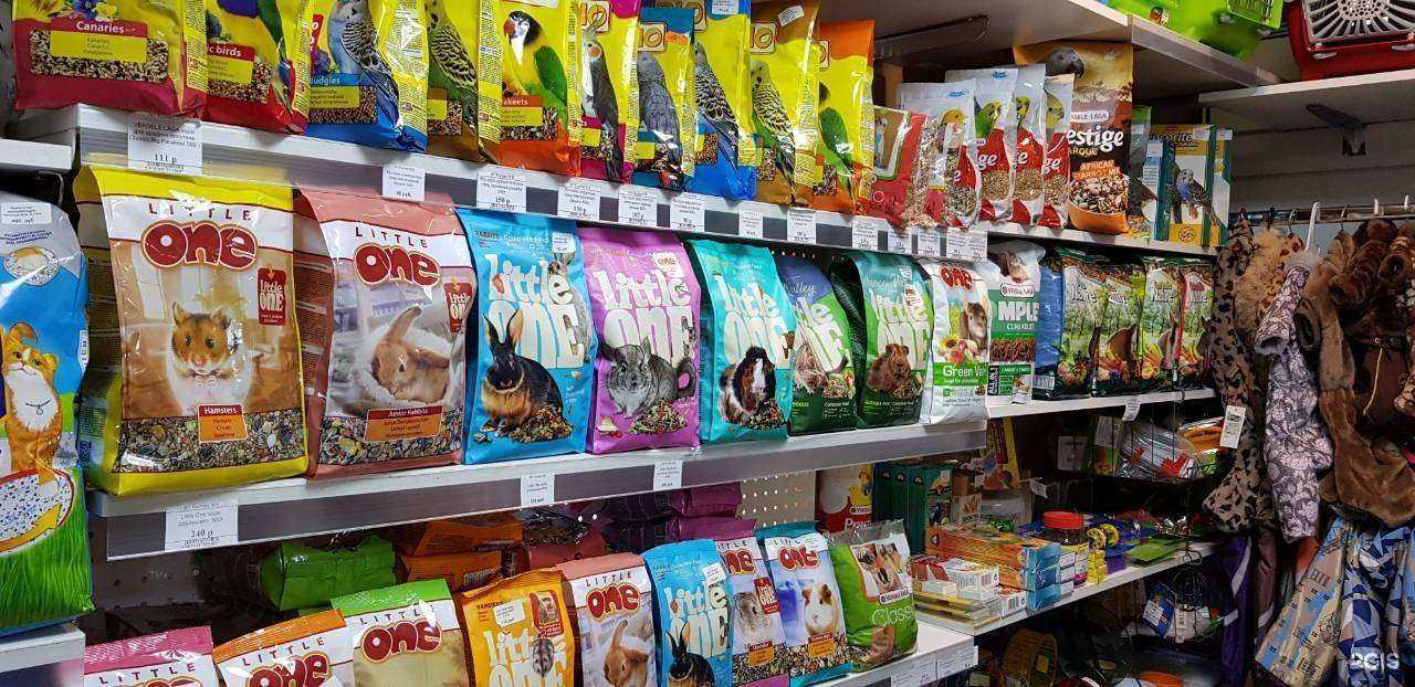 Отзывы на компанию Зоо43 в г. Киров c фото