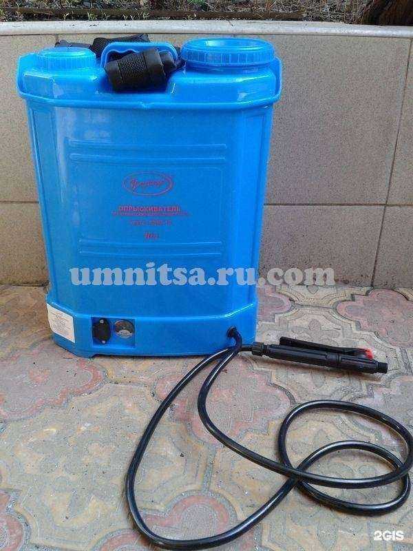 Отзывы на компанию Умница в Ростове-на-Дону c фото