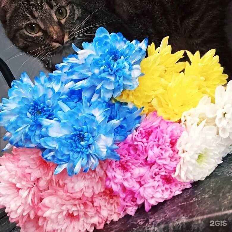 Отзывы на компанию Магазин цветов в г. Кострома c фото