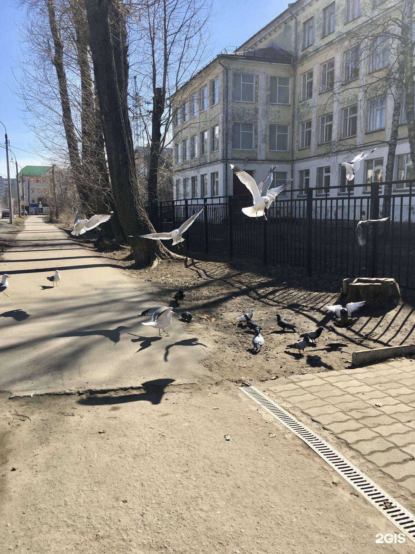 Отзывы на компанию Средняя школа №22 в г. Архангельск c фото