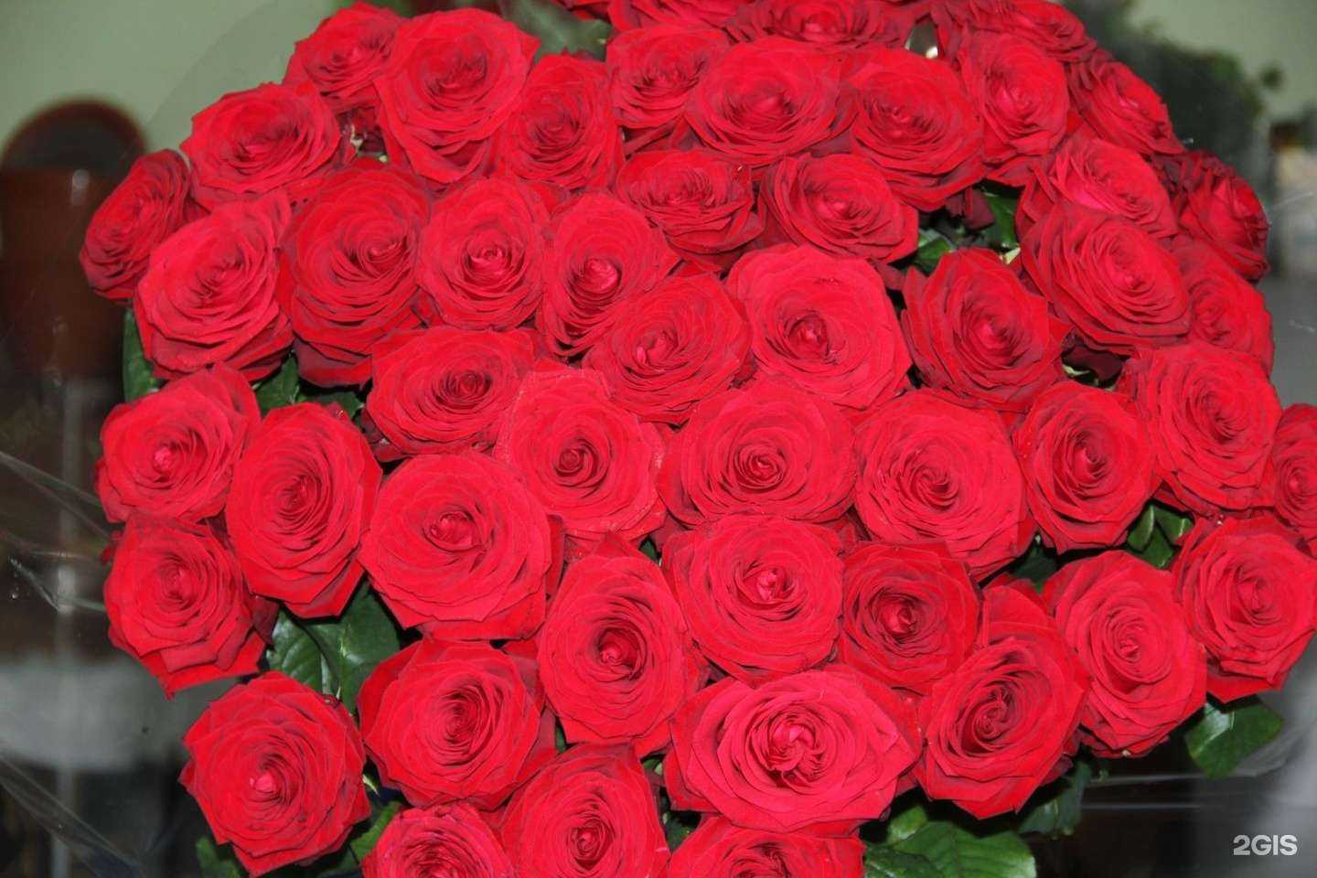 Отзывы на компанию Анна в Новокузнецке c фото