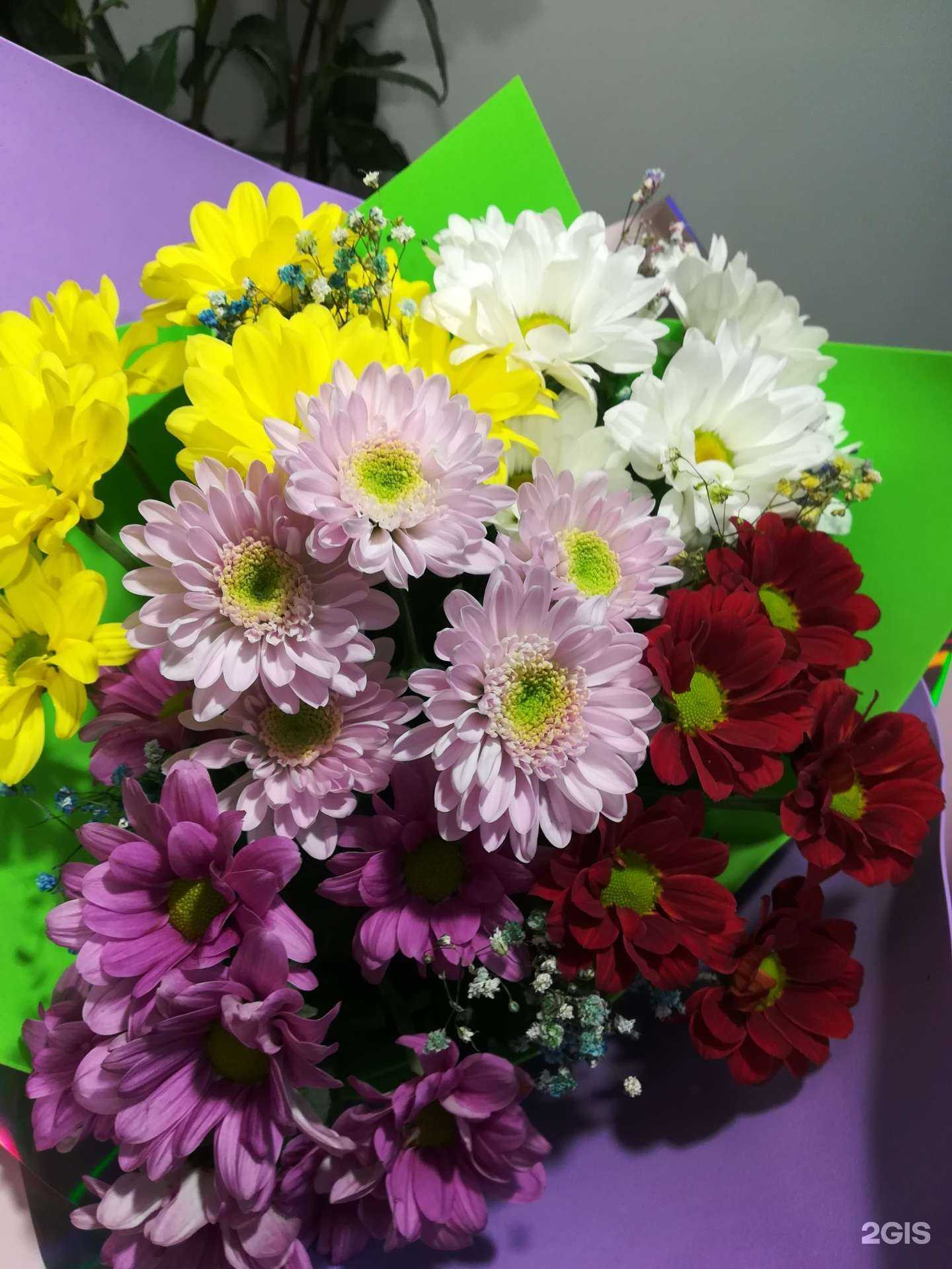 Отзывы на компанию Магазин цветов в Брянске c фото