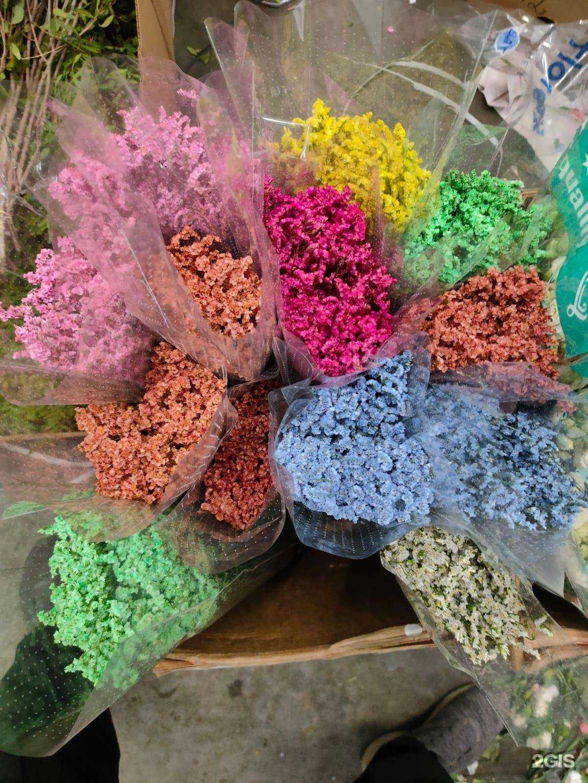 Отзывы на компанию Альянс в Самаре c фото