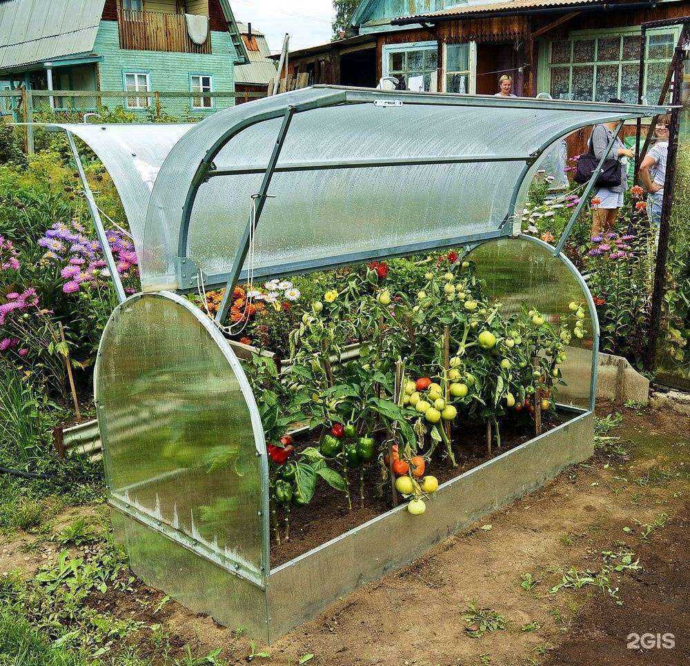 Отзывы на компанию Сота в г. Иркутск c фото