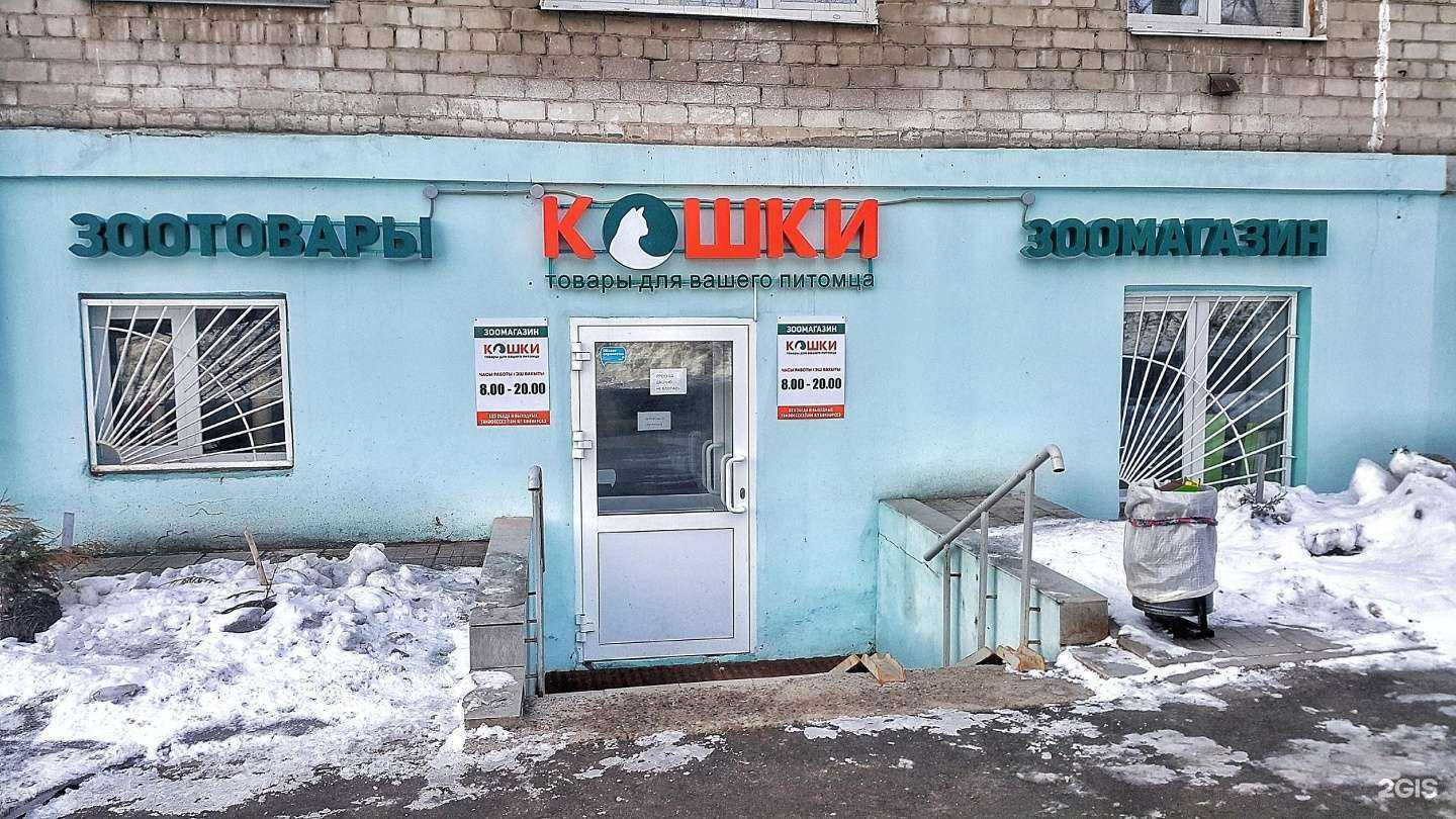 Отзывы на компанию Кошки в Казани c фото