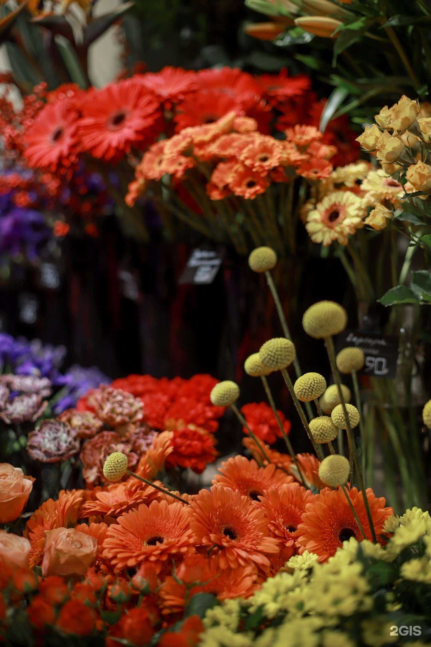 Отзывы на компанию ADORA в г. Новокузнецк c фото