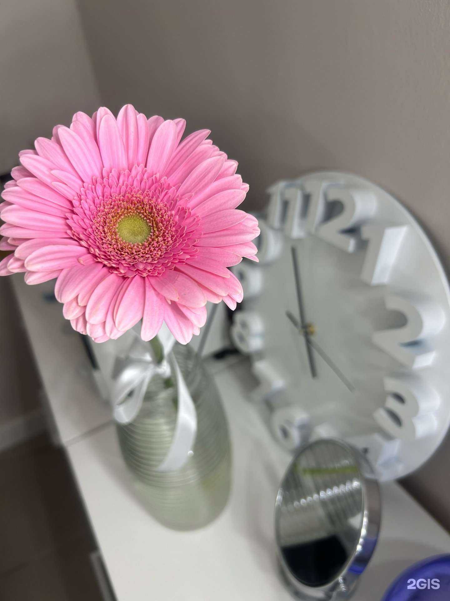 Отзывы на компанию Magic в Вологде c фото