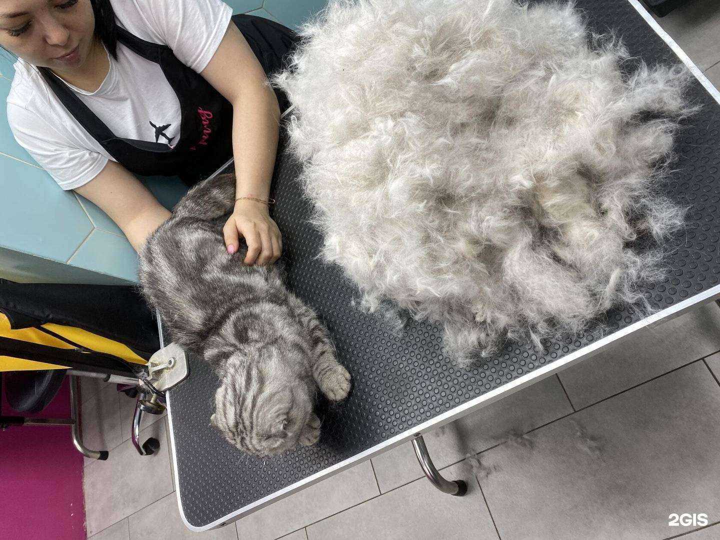 Отзывы на компанию Гарфилд в Ижевске c фото