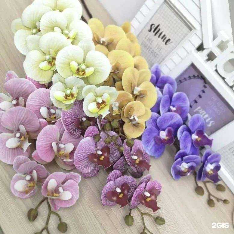 Отзывы на компанию Flower Group в Кирове-Чепецке c фото