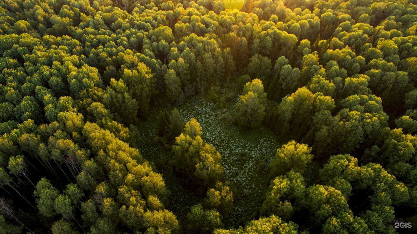 Отзывы на компанию Бердовская Таёжная в Новосибирске c фото