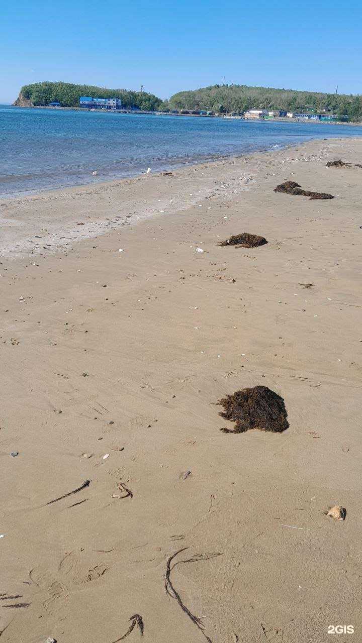 Отзывы на компанию Беседа в Владивостоке c фото