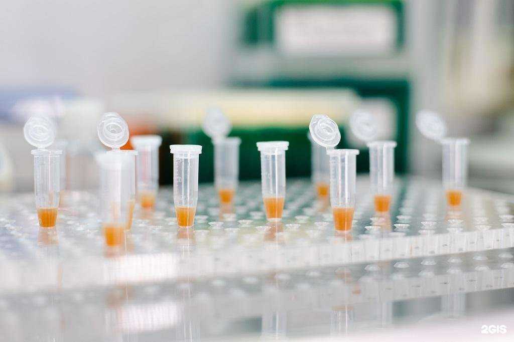 Отзывы на компанию Биолабмикс в г. Новосибирск c фото