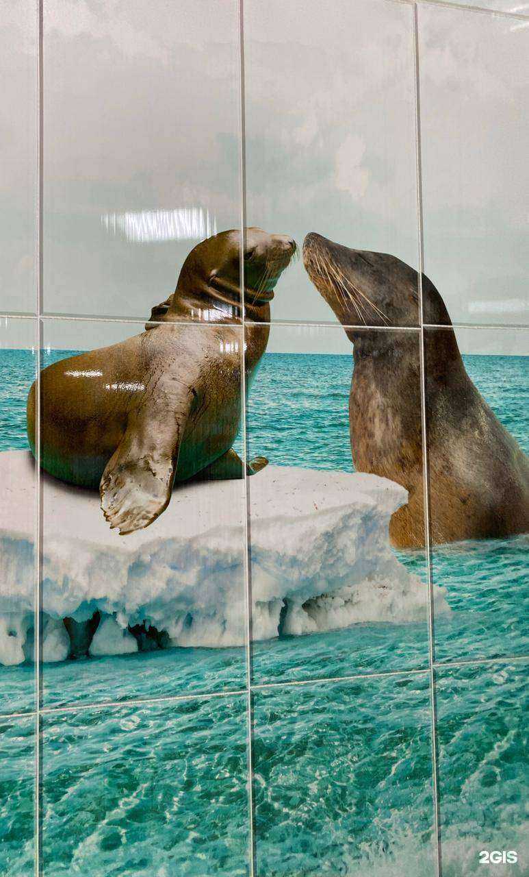 Отзывы на компанию Магнит в г. Нефтеюганск c фото