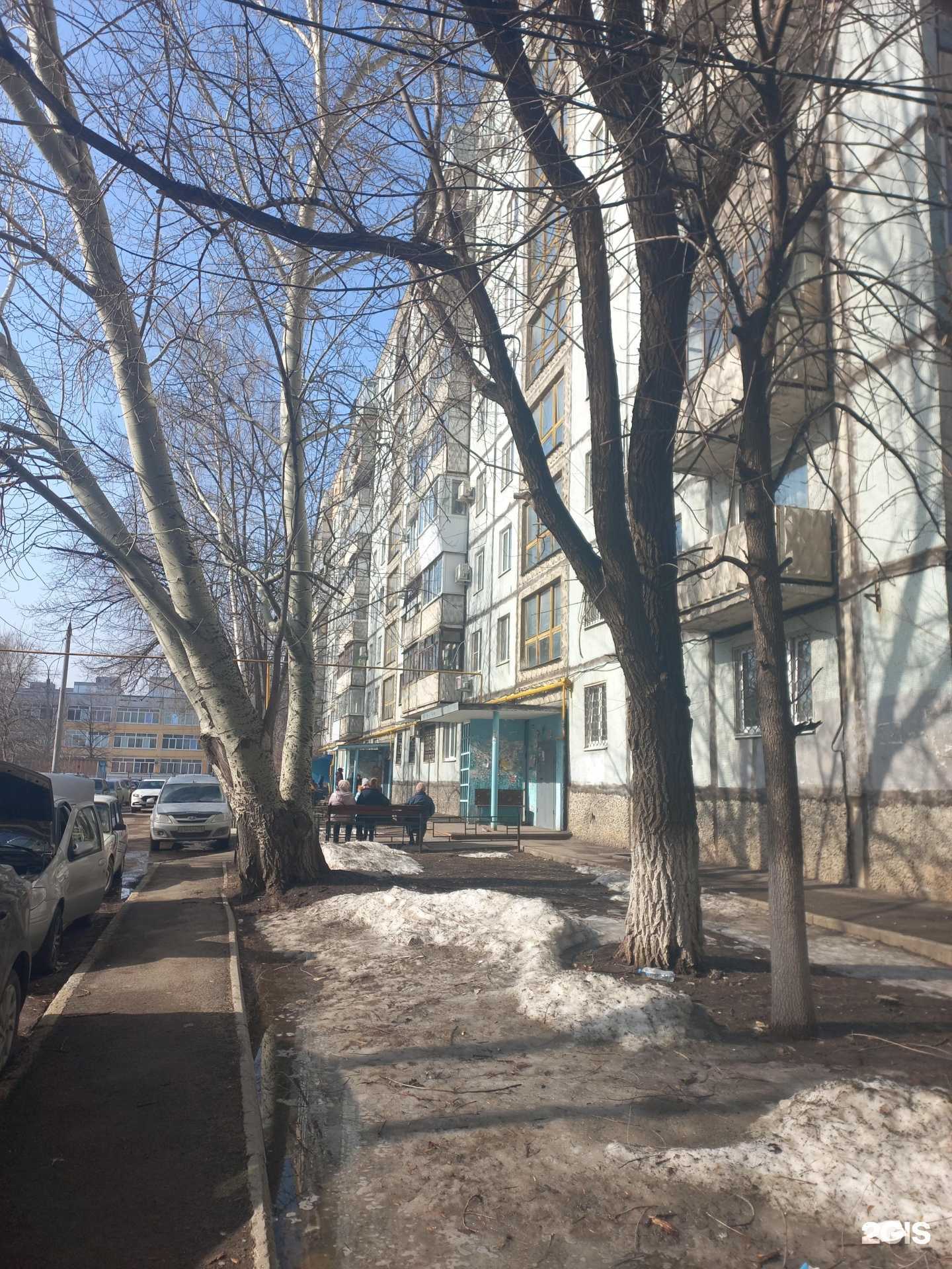 Отзывы на компанию Цветочный дворик 63 в г. Самара c фото