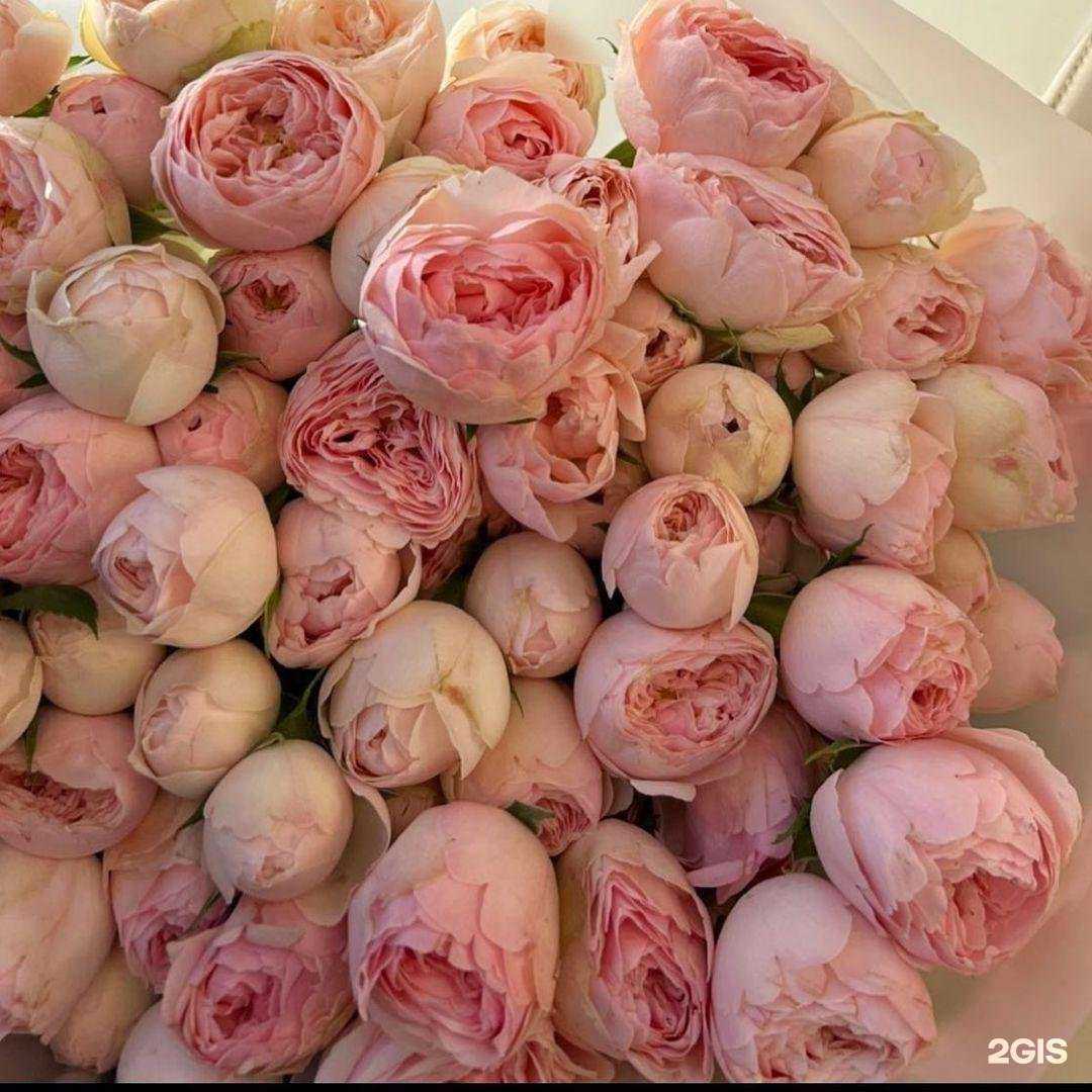 Отзывы на компанию Букетная в Калуге c фото