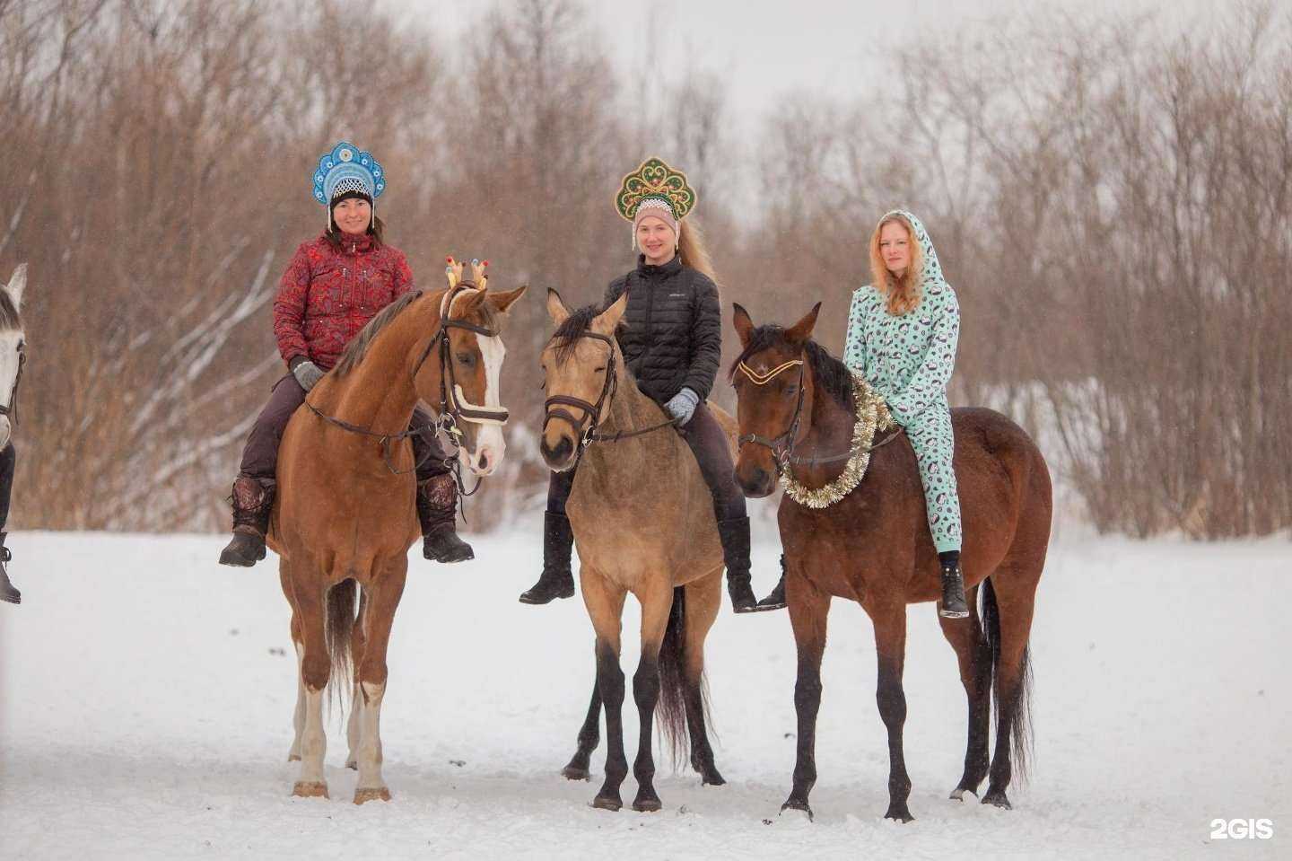 Отзывы на компанию Баланс в Томске c фото