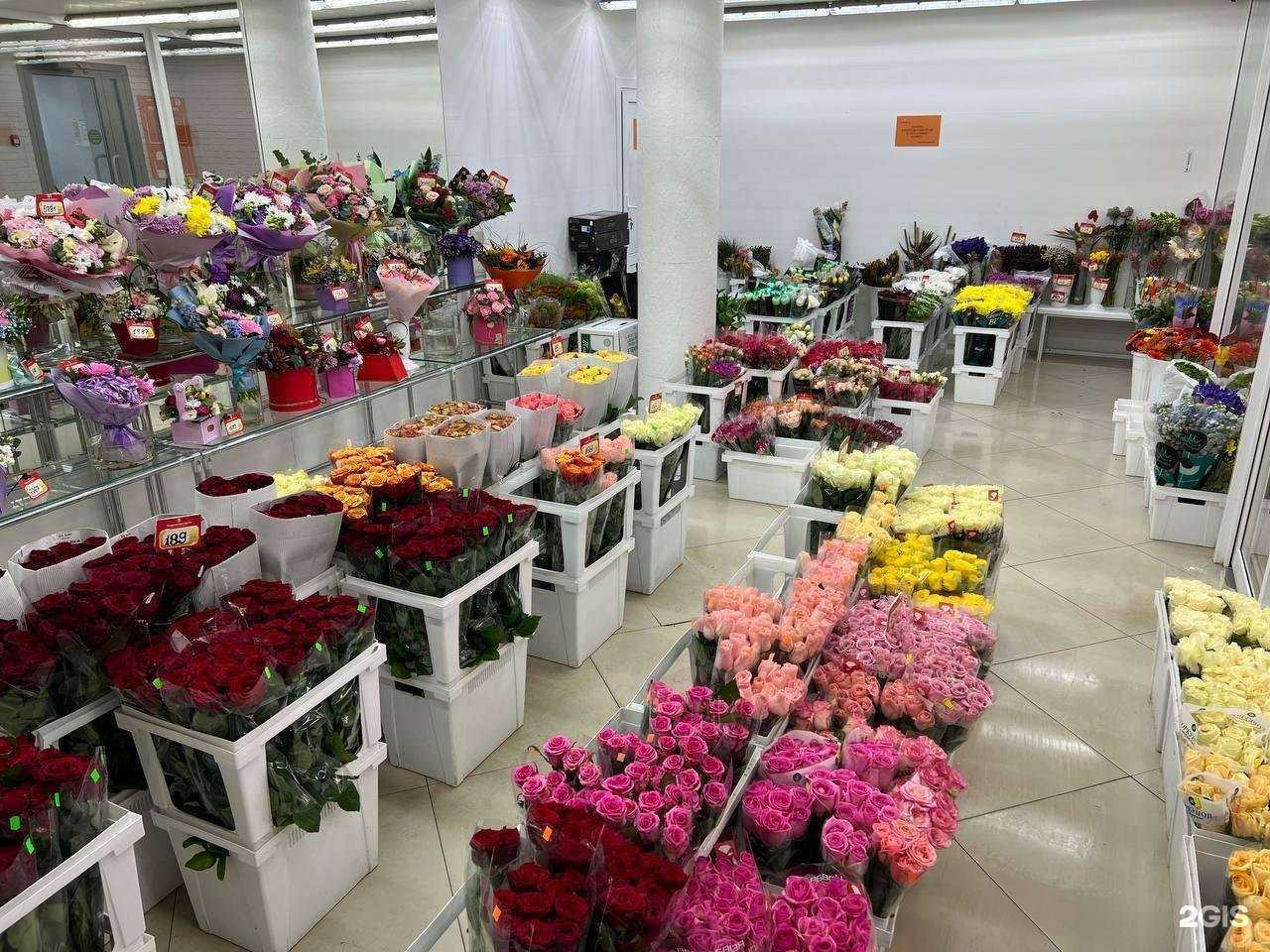 Отзывы на компанию Городская база цветов в Королёве c фото