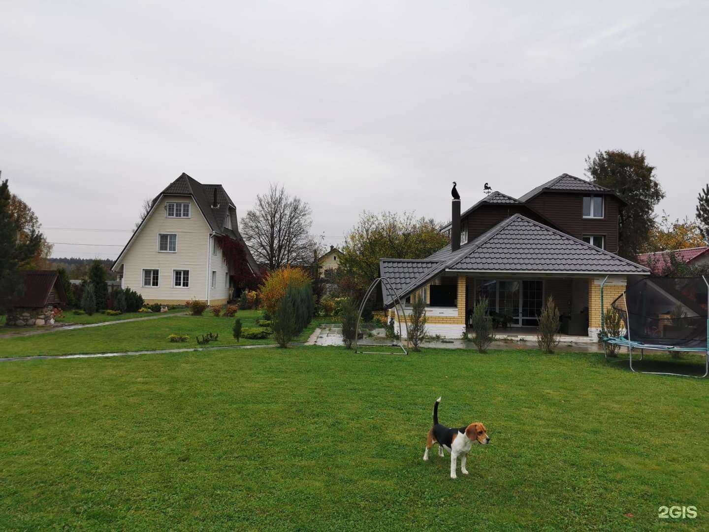 Отзывы на компанию Луксор в Пушкине c фото