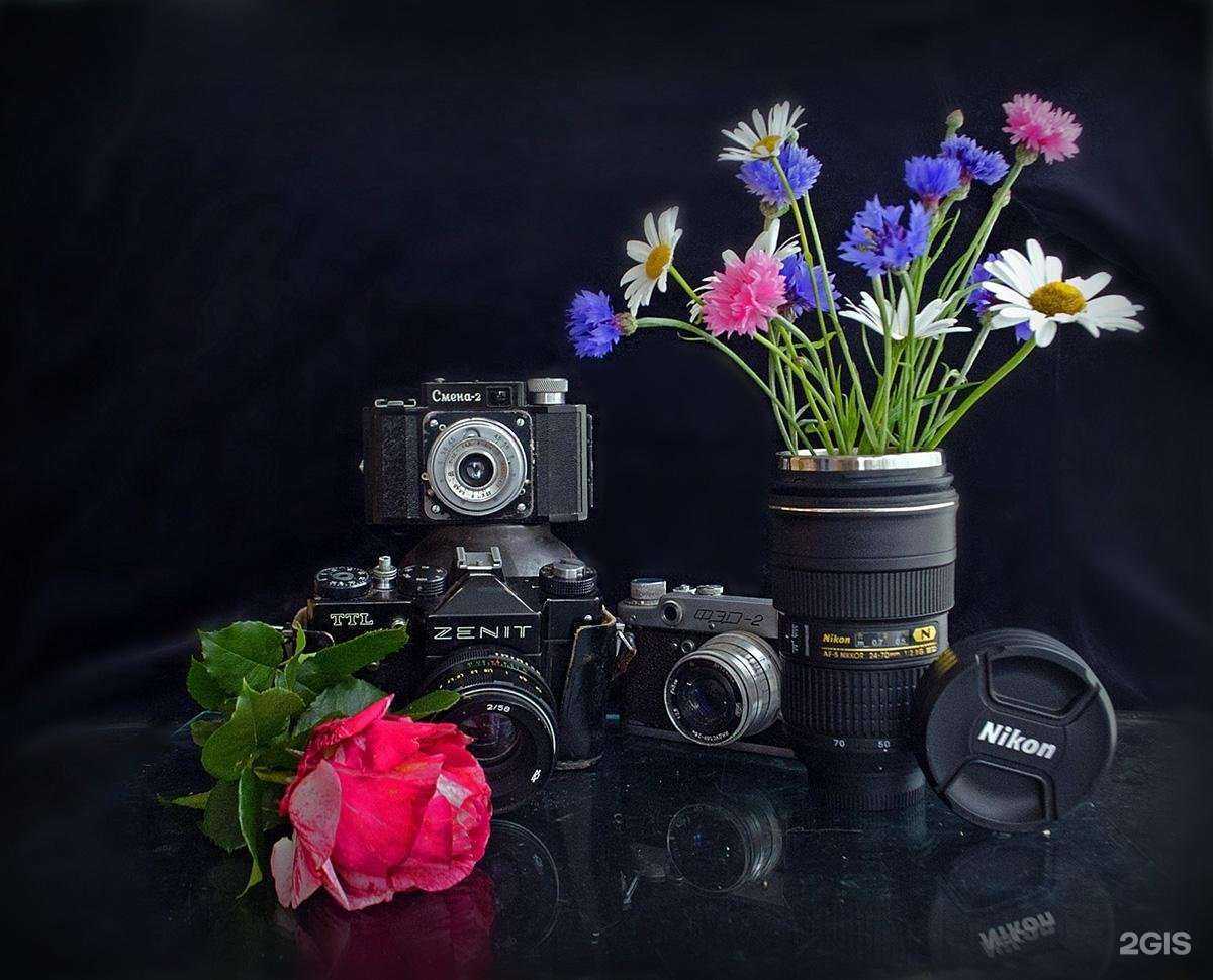 Отзывы на компанию МагЦветок.рф в г. Магнитогорск c фото