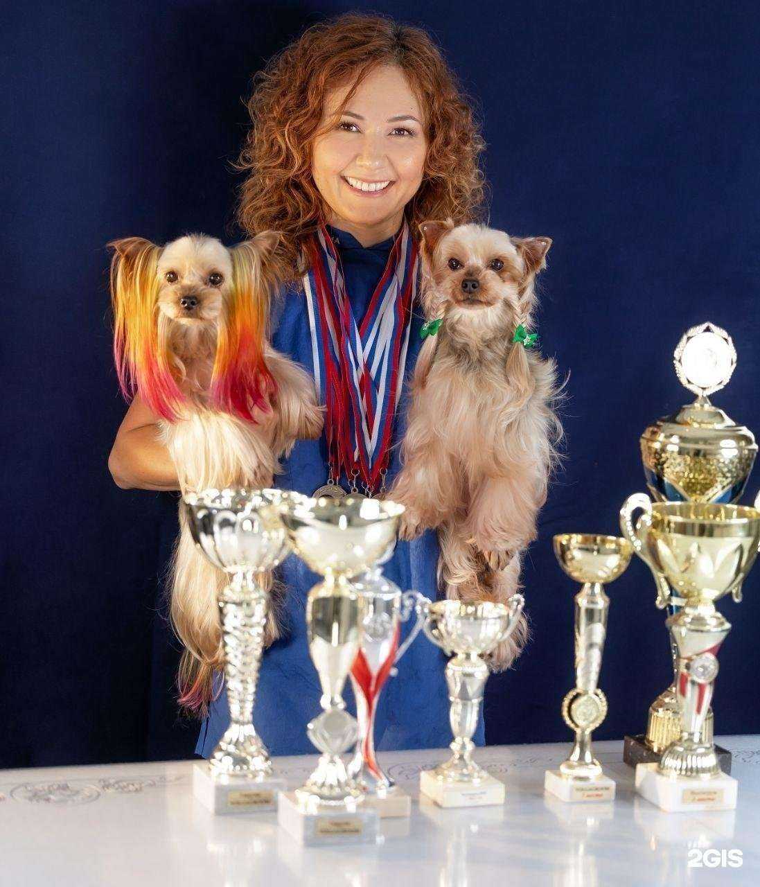 Отзывы на компанию Grooming Zoohotel&Spa в Казани c фото