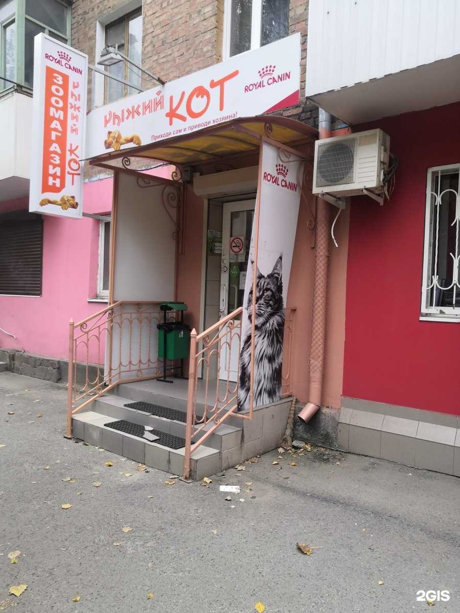 Отзывы на компанию Рыжий кот в Ростове-на-Дону c фото